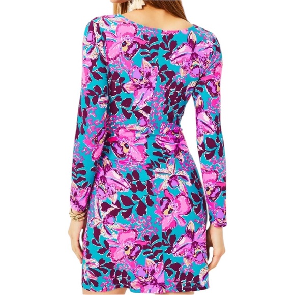 Lilly Pulitzer Bryson Dress - Picture 6 of 7